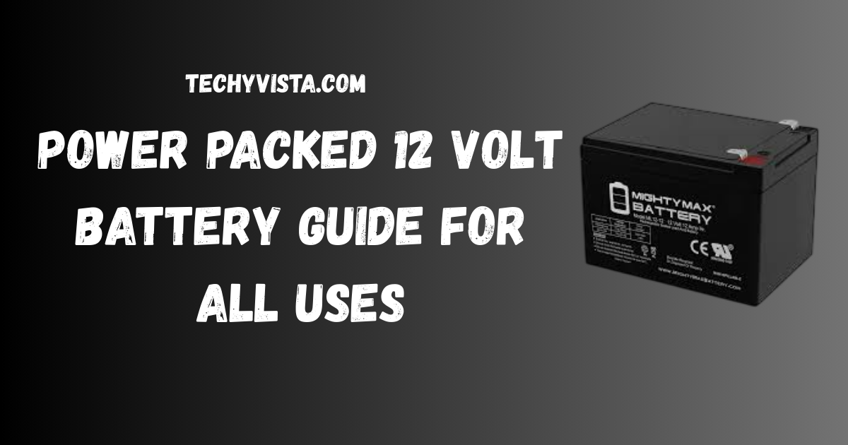 12 Volt Battery